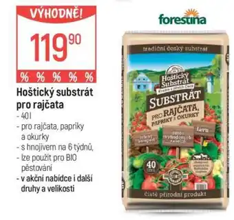 Globus Hoštický substrát pro rajčata nabídka