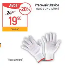 Globus Pracovní rukavice nabídka