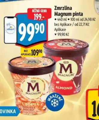 Albert Zmrzlina Magnum Pinta nabídka