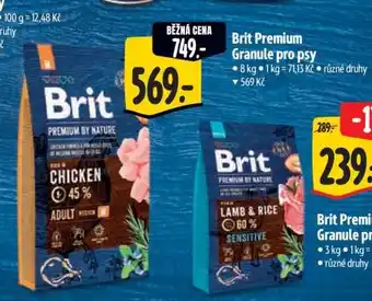 Albert Brit Premium Granule pro psy (8 kg) nabídka