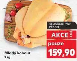 Kaufland Mladý kohout nabídka