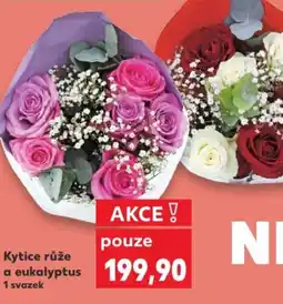 Kaufland Kytice růže a eukalyptus nabídka