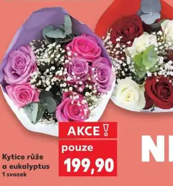Kaufland Kytice růže a eukalyptus nabídka