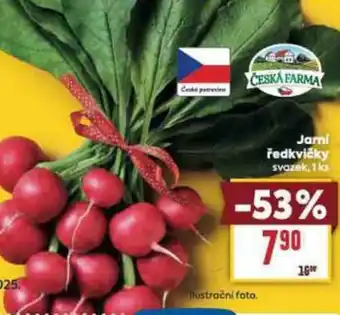 Billa Jarni ředkvičky nabídka