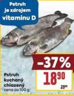 Billa Pstruh kuchaný chlazený nabídka