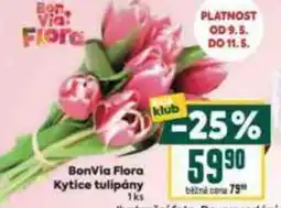 Billa BonVia Flora Kytice tulipány nabídka