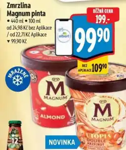 Albert Zmrzlina Magnum pinta nabídka