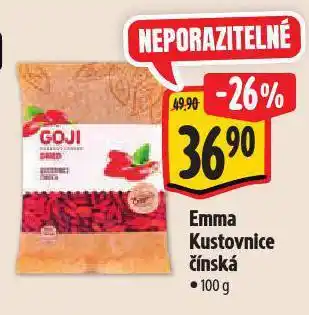 Albert Emma kustovnice čínská - goji nabídka