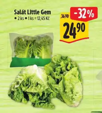 Albert Salát little gem nabídka