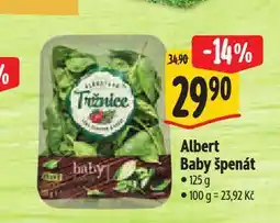 Albert Baby špenát nabídka