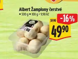 Albert Žampiony čerstvé nabídka