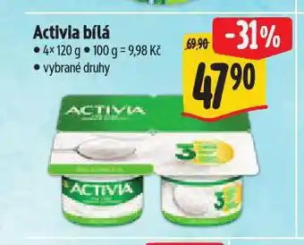 Albert Activia nabídka