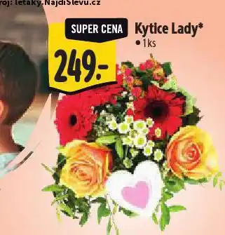 Albert Kytice lasy nabídka