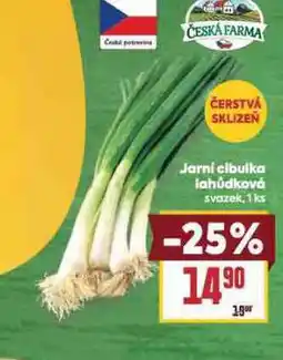 Billa Jarní cibulka lahůdková nabídka