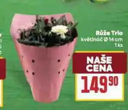 Billa Růže trio nabídka