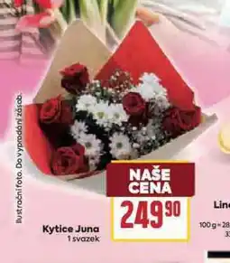 Billa Kytice juna nabídka