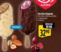 Albert Zmrzlina Magnum nabídka