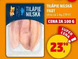 Penny Market TILÁPIE NILSKÁ FILET, 100 g nabídka
