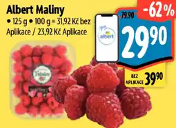 Albert Albert Maliny nabídka