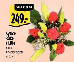 Albert Kytice Růže a Lilie nabídka