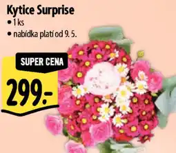 Albert Kytice Surprise nabídka