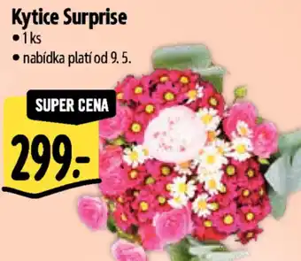 Albert Kytice Surprise nabídka