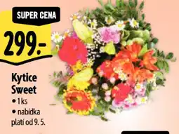 Albert Kytice Sweet nabídka