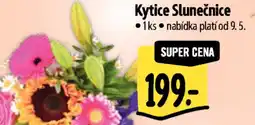 Albert Kytice Slunečnice nabídka