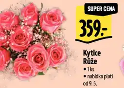 Albert Kytice Růže nabídka