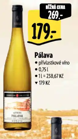 Albert Pálava nabídka