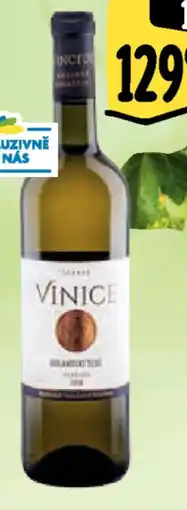 Albert Vinařství Vinofol Terroir nabídka