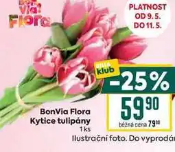 Billa BonVia Flora Kytice tulipány 1ks nabídka