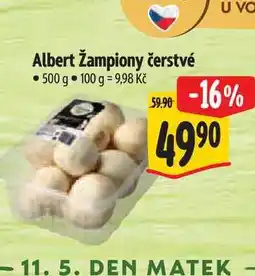 Albert Albert žampiony čerstvé 500 g nabídka