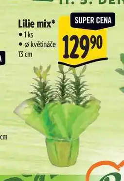 Albert Lilie mix, pr. květináče 13 cm nabídka