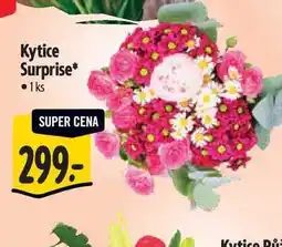 Albert Kytice Surprise 1 ks nabídka