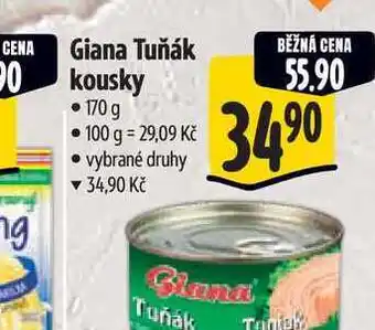 Albert Giana Tuňák kousky 170g nabídka