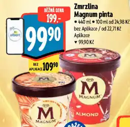 Albert Zmrzlina Magnum pinta nabídka