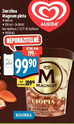 Albert Zmrzlina Magnum pinta nabídka