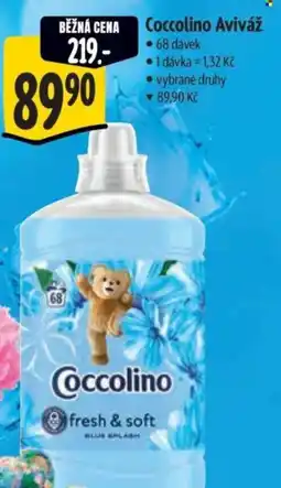 Albert Coccolino Aviváž nabídka