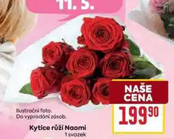 Billa Kytice růží Naomi 1 svazek nabídka