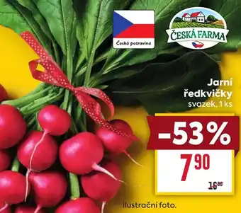 Billa Jarní ředkvičky nabídka