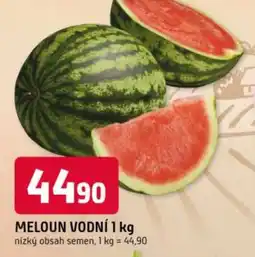 Trefa Meloun vodní nabídka