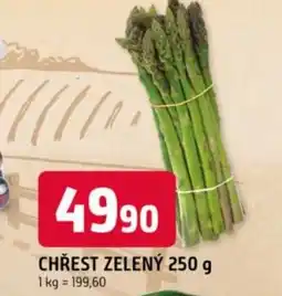 Trefa Chřest zelený nabídka