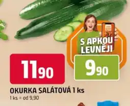Trefa Okurka salátová nabídka