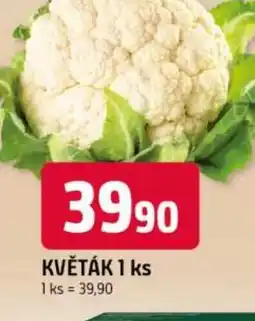 Trefa Květák nabídka