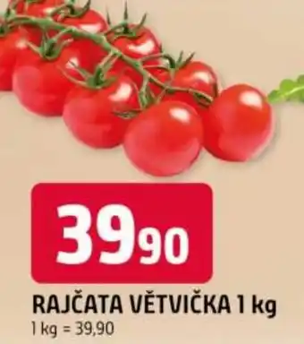 Trefa Rajčata větvička nabídka