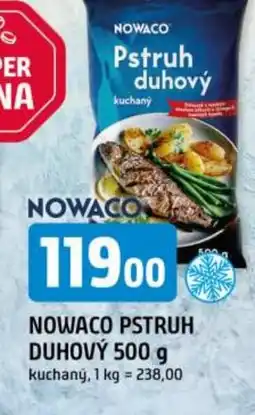 Trefa Nowaco pstruh duhový nabídka