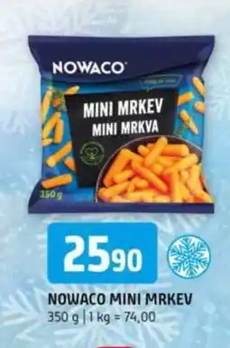Terno NOWACO MINI MRKEV nabídka