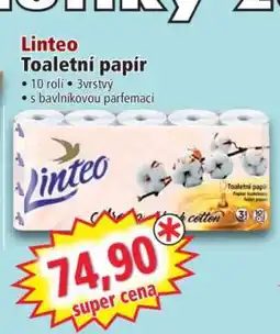 Norma Linteo nabídka