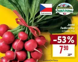 Billa Jarní ředkvičky svazek nabídka